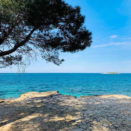 App Fiorela Poreč Dış mekan fotoğraf